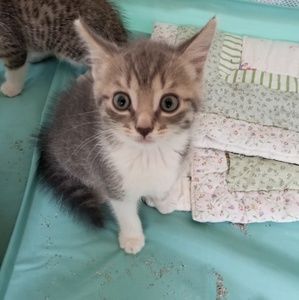 Meet your Posher, Megan